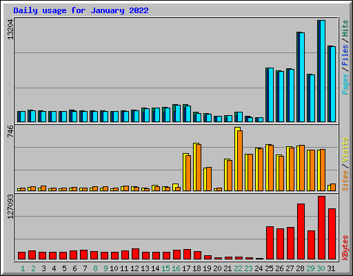 Daily usage for January 2022