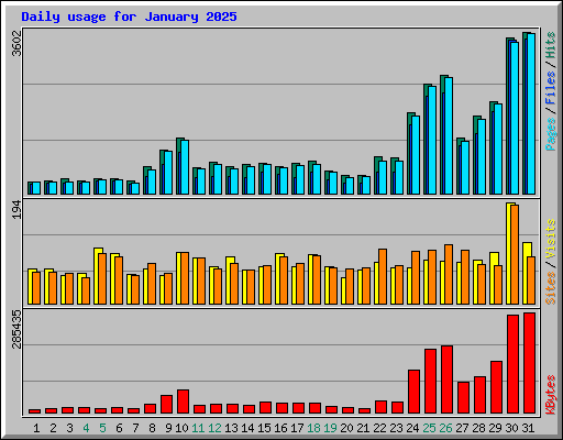 Daily usage for January 2025