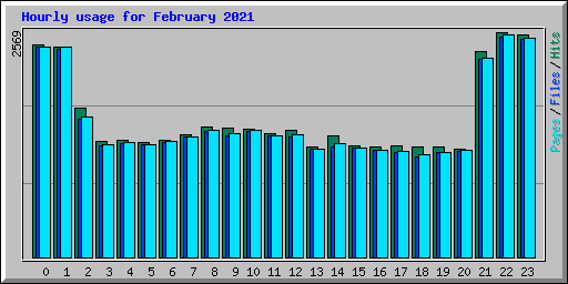 Hourly usage for February 2021