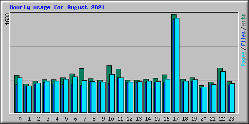 Hourly usage for August 2021