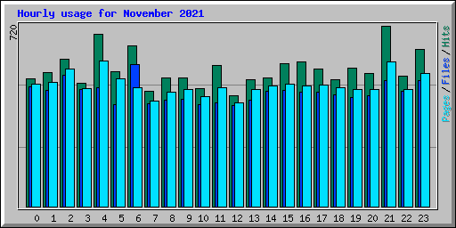 Hourly usage for November 2021