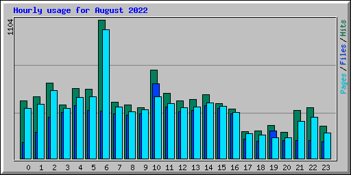 Hourly usage for August 2022