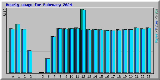 Hourly usage for February 2024