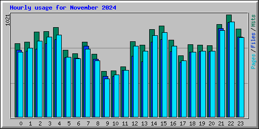 Hourly usage for November 2024