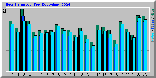 Hourly usage for December 2024