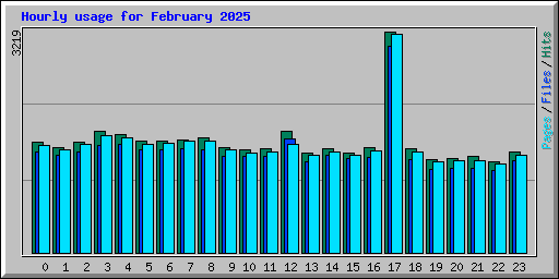 Hourly usage for February 2025