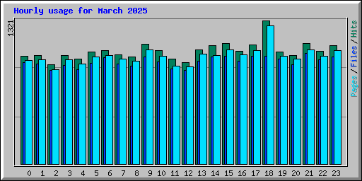 Hourly usage for March 2025